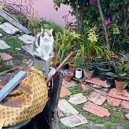 Lovely Newly Refurbished, 1 Bedroom Floor With Sea Views, Fast Wi-fi Cable Tv And Netflix Appartement