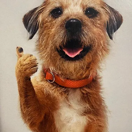 Daire Lovely Newly Refurbished, 1 Bedroom Floor With Sea Views, Fast Wi-fi Cable Tv And Netflix *