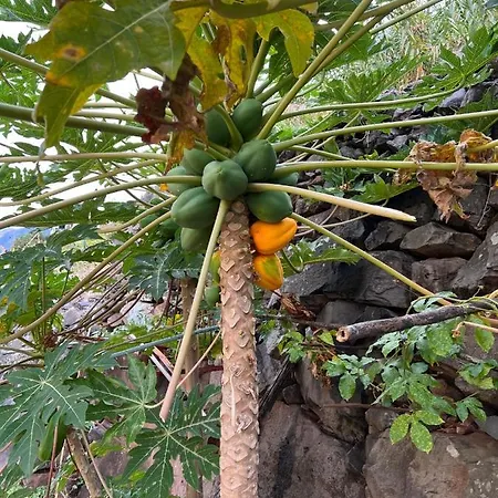 Apartman Lovely Newly Refurbished, 1 Bedroom Floor With Sea Views, Fast Wi-fi Cable Tv And Netflix *